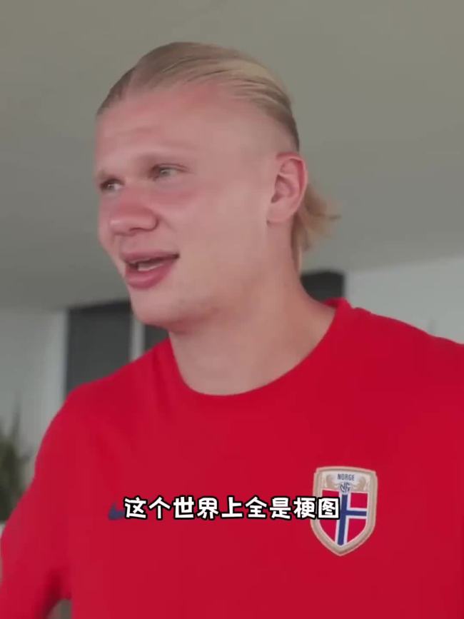 包含重磅：哈兰德意甲20队主帅全的词条