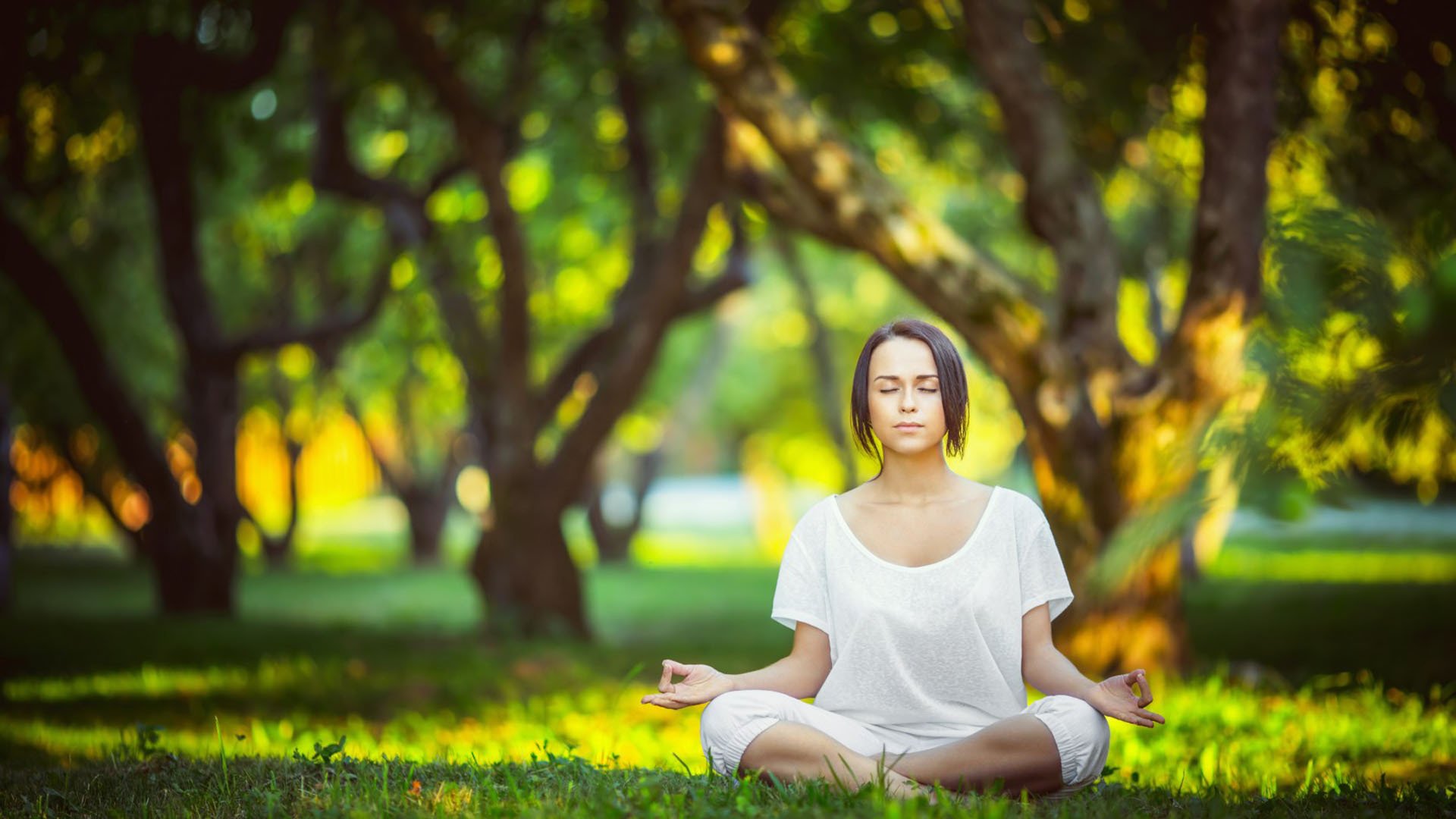 Rookie比分优势明显冲上热搜，一代中单的荣耀与坚持